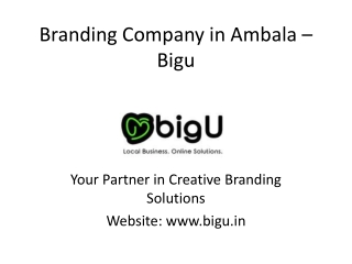 Professional Branding Company in Ambala | Transform Your Business Image