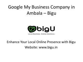 Google My Business Experts in Ambala | Boost Local Visibility