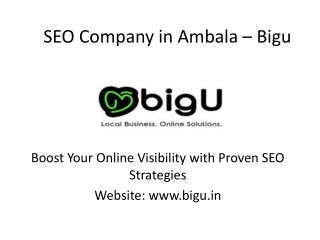 "Leading SEO Company in Ambala | Dominate Search Rankings"