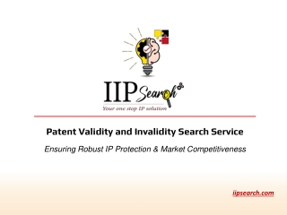 patent validity and invalidity search service