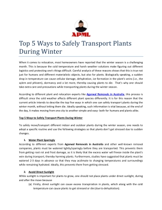 Top 5 Ways to Safely Transport Plants During Winter