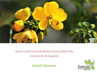 senna leaf extract manufacturer and supplier