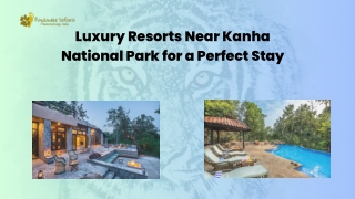 luxury resorts near kanha national park for a perfect stay