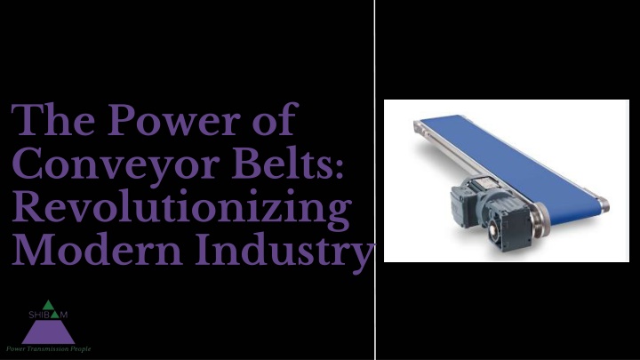 the power of conveyor belts revolutionizing