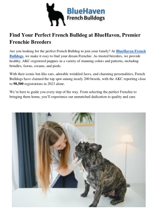 Find Your Perfect French Bulldog at BlueHaven, Premier Frenchie Breeders