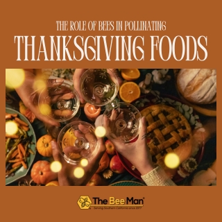 The Role of Bees in Pollinating Thanksgiving Foods