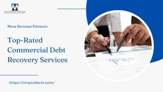 Top-Rated Commercial Debt Recovery Services | Mesa Revenue Partners