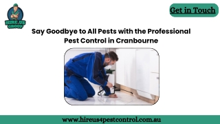 Say Goodbye to All Pests with the Professional Pest Control in Cranbourne (1)