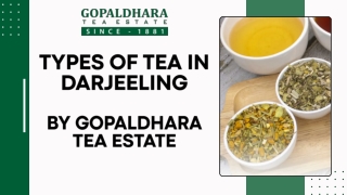 Types of Tea in Darjeeling By Gopaldhara Tea Estate