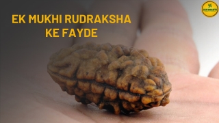 Ek Mukhi Rudraksha Ke Fayde: Unlock Divine Blessings and Prosperity