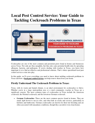 Expert Cockroach Pest Control Services in Texas