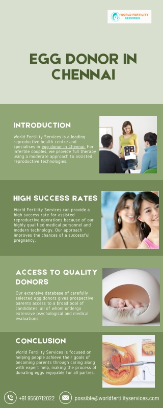 Egg Donor In Chennai | World Fertility Services