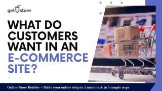 What Do Customers Want in an E-commerce Site?