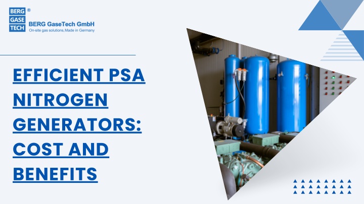 efficient psa nitrogen generators cost