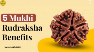 5 Mukhi Rudraksha Ke Fayde: Achieve Balance and Inner Peace