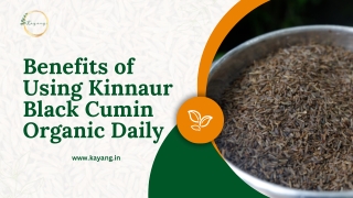 Benefits of Using Kinnaur Black Cumin Organic Daily