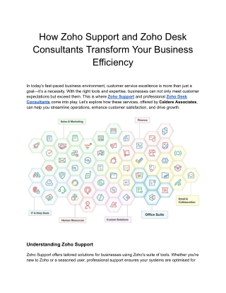how zoho support and zoho desk consultants