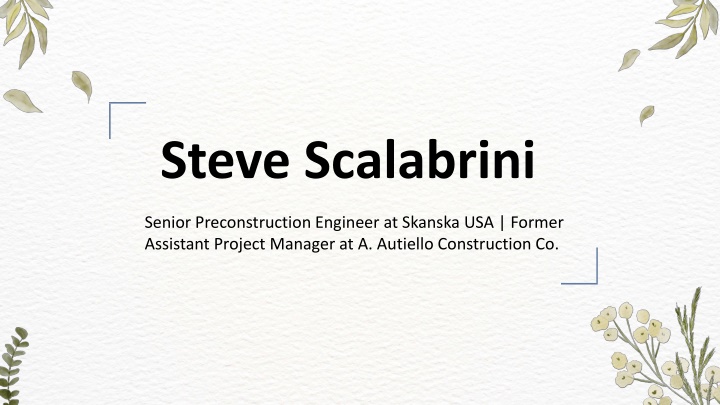 steve scalabrini