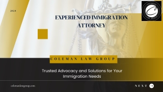 Experienced Immigration Attorney