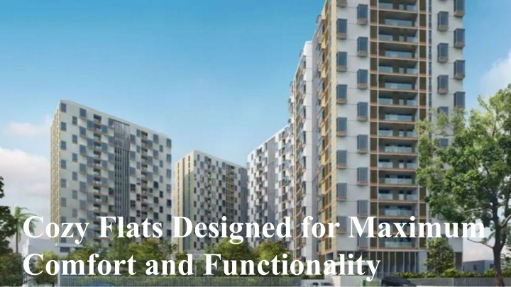 cozy flats designed for maximum comfort