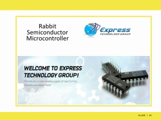 Rabbit Semiconductor Microcontrollers