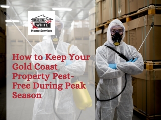 How to Keep Your Gold Coast Property Pest-Free During Peak Season