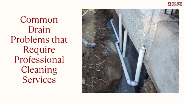 common drain problems that require professional