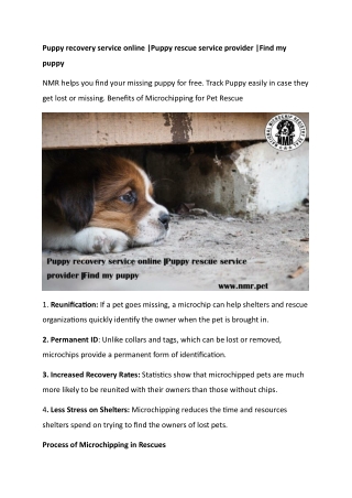 puppy recovery service online puppy rescue