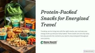 protein packed snacks for energized travel