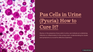 pus cells in urine pyuria how to cure it