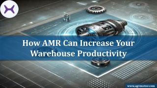 How AMR Can Increase Your Warehouse Productivity
