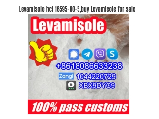 Levamisole hcl 16595-80-5,levamisole powder buy for sale