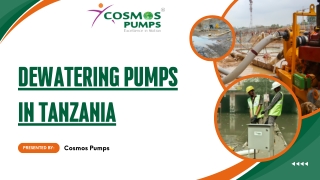 dewatering pumps in tanzania