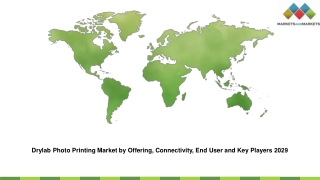 drylab photo printing market by offering