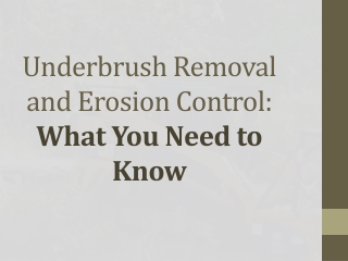 Underbrush Removal and Erosion Control: What You Need to Know