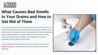 What Causes Bad Smells in Your Drains and How to Get Rid of Them