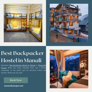 best backpacker hostel in manali