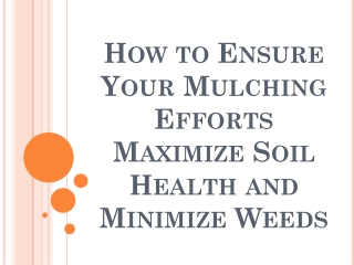 How to Ensure Your Mulching Efforts Maximize Soil Health and Minimize Weeds