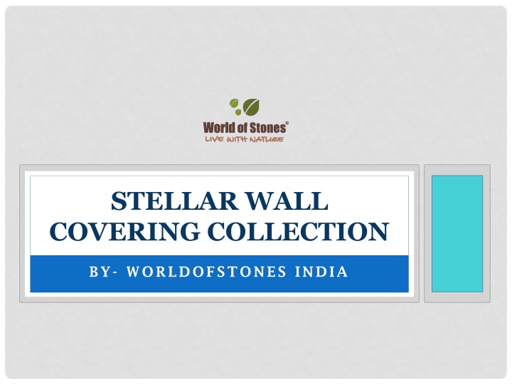 stellar wall covering collection