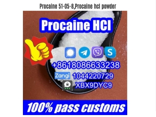 procaine 51 05 8 procaine hcl powder