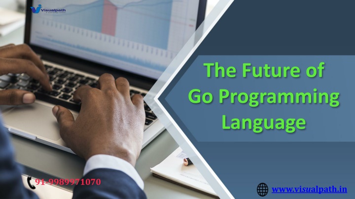 the future of go programming language