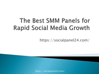 The Best SMM Panels for Rapid Social Media Growth