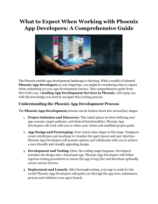 What to Expect When Working with Phoenix App Developers
