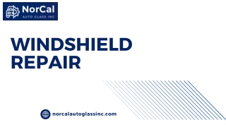 Windshield Repair