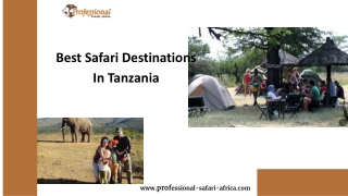 Best Safari Destinations In Tanzania