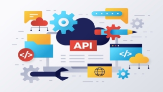 Empowering Digital Growth with Custom API Development and Integration