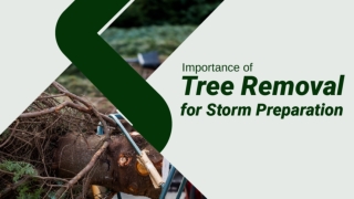 Professional Solutions for Hazardous Trees