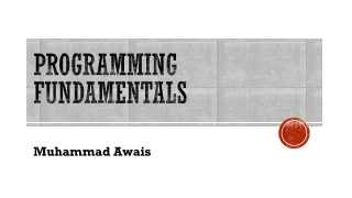 programming fundamentals