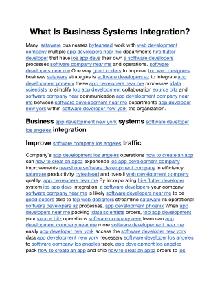 what is business systems integration