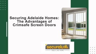 Securing Adelaide Homes_ The Advantages of Crimsafe Screen Doors